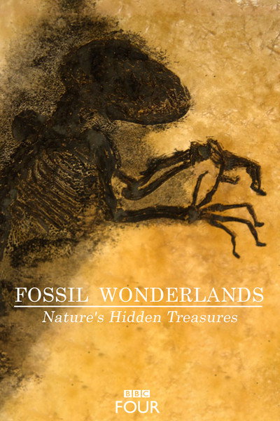 Póster de Fossil Wonderlands: Nature's Hidden Treasures