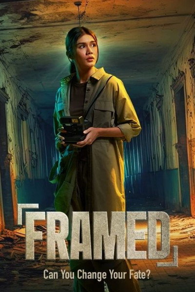 Póster de Framed