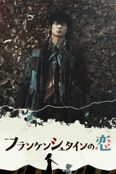 Póster de Frankenstein in Love