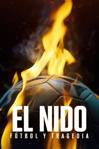 Póster de From Dreams to Tragedy: The Fire that Shook Brazilian Football
