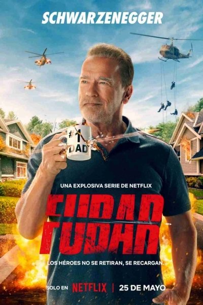 Póster de Fubar