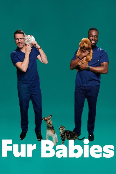 Póster de Fur Babies