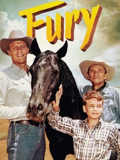 Póster de Furia