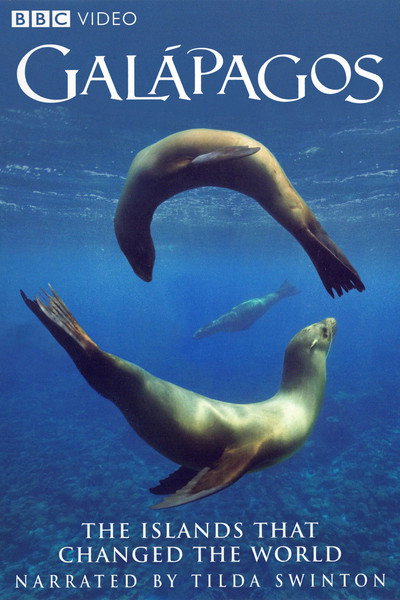 Póster de Galapagos