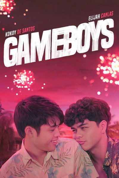 Póster de Gameboys