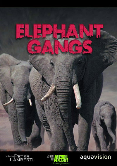 Póster de Gangland Killers