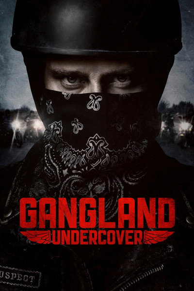 Póster de Gangland Undercover