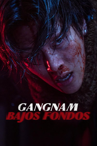 Póster de Gangnam B-Side