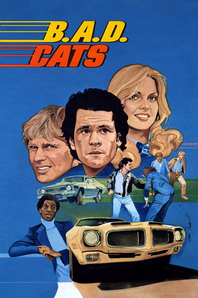 Póster de Gatos sobre ruedas