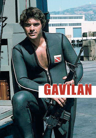 Póster de Gavilan