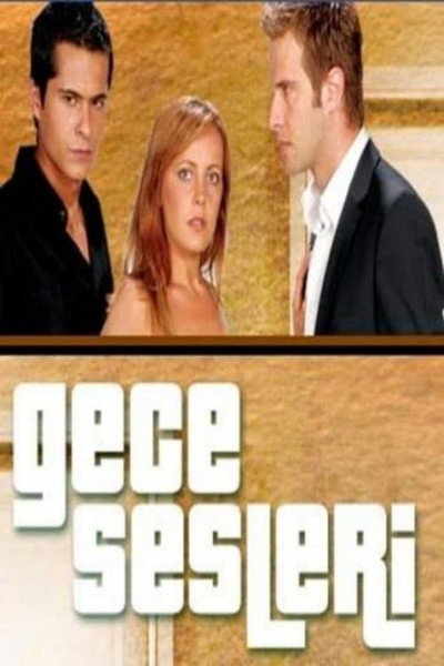 Póster de Gece Sesleri