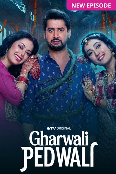 Póster de Gharwali Pedwali