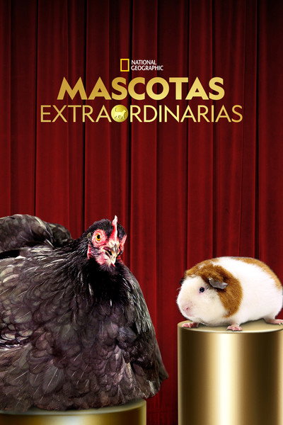 Póster de Going Fur Gold