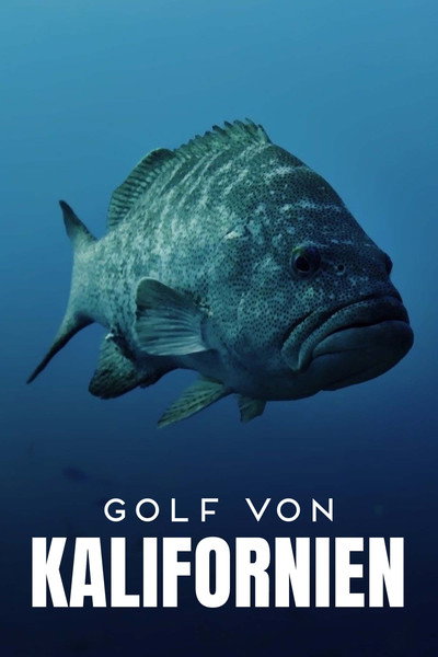 Póster de Golf von Kalifornien