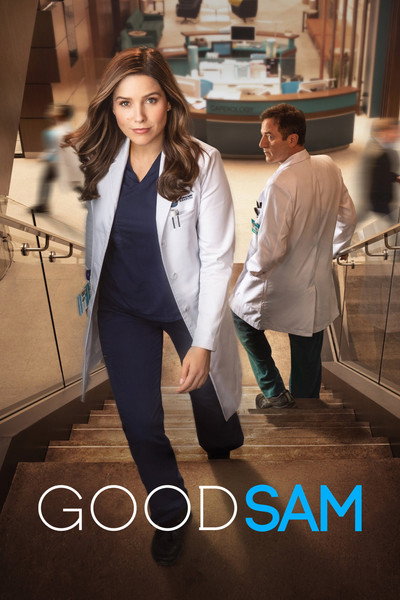 Póster de Good Sam