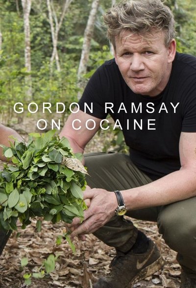 Póster de Gordon on Cocaine