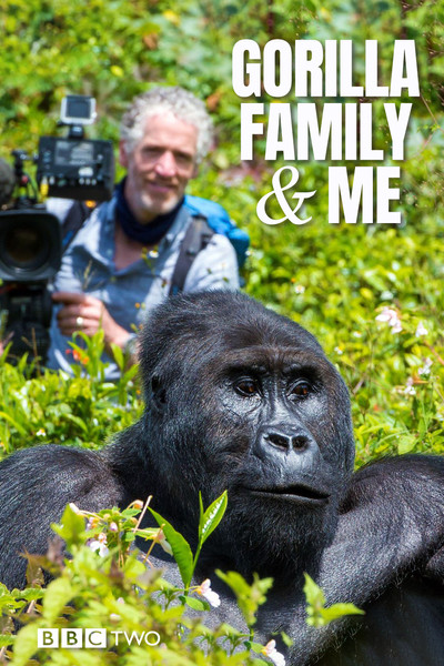 Póster de Gorilla Family & Me
