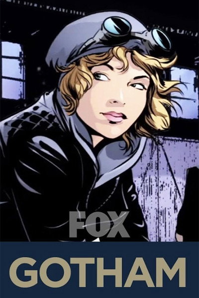 Póster de Gotham Stories