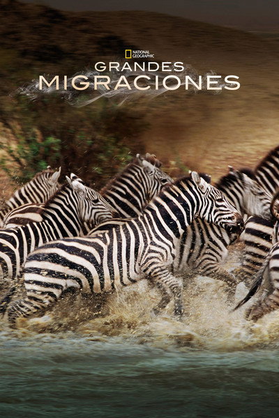 Póster de Grandes migraciones