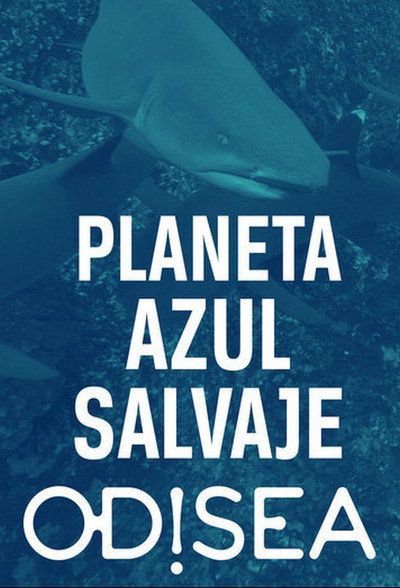 Póster de Great Blue Wild