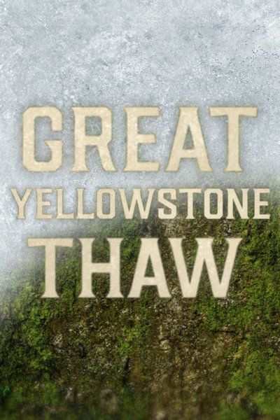 Póster de Great Yellowstone Thaw