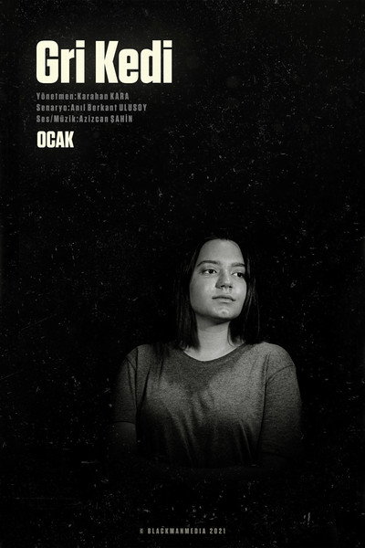 Póster de Gri Kedi