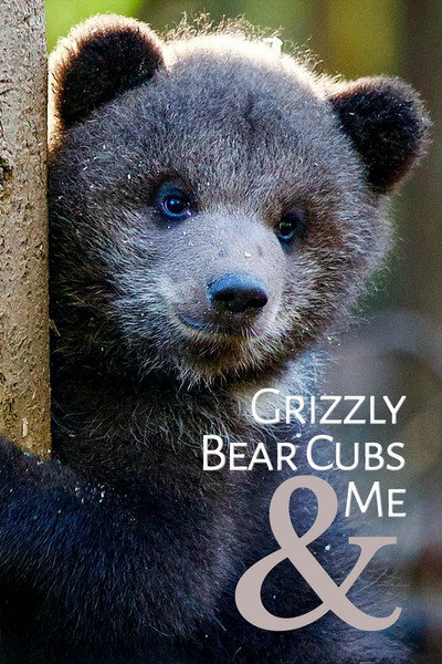 Póster de Grizzly Bear Cubs and Me