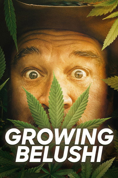 Póster de Growing Belushi