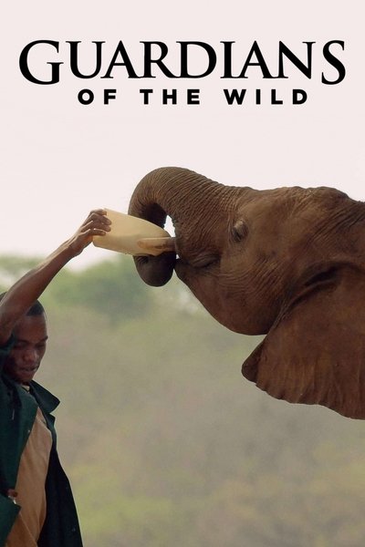 Póster de Guardians of the Wild