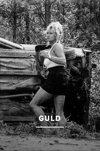 Póster de Guld!
