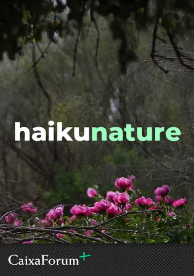 Póster de Haiku Nature