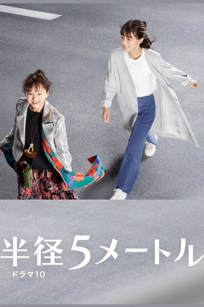 Póster de Hankei 5 Metoru