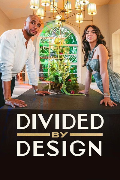 Póster de Hasta que el diseño nos separe