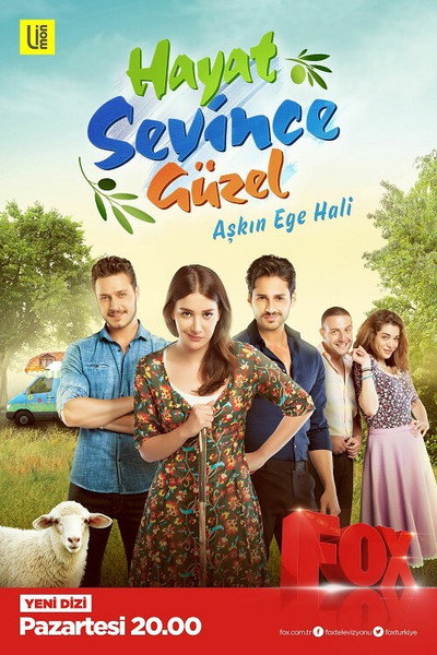 Póster de Hayat Sevince Güzel