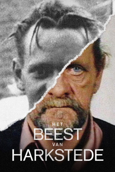 Póster de Het Beest van Harkstede