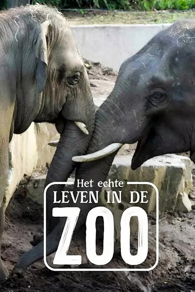 Póster de Het echte leven in de zoo