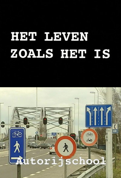 Póster de Het leven zoals het is...
