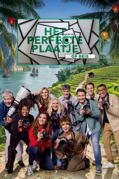 Póster de Het perfecte plaatje op reis