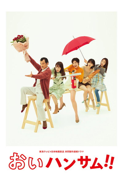 Póster de Hey Handsome!