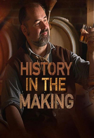 Póster de History in the Making