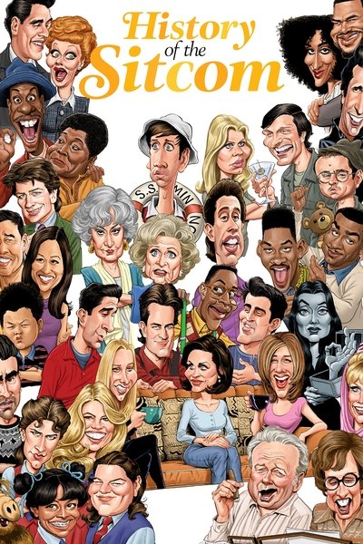 Póster de History of the Sitcom