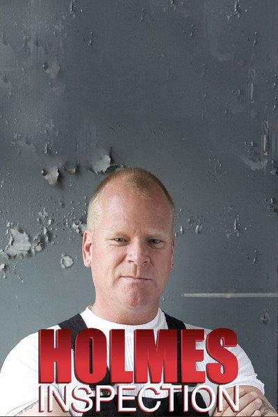 Póster de Holmes Inspection