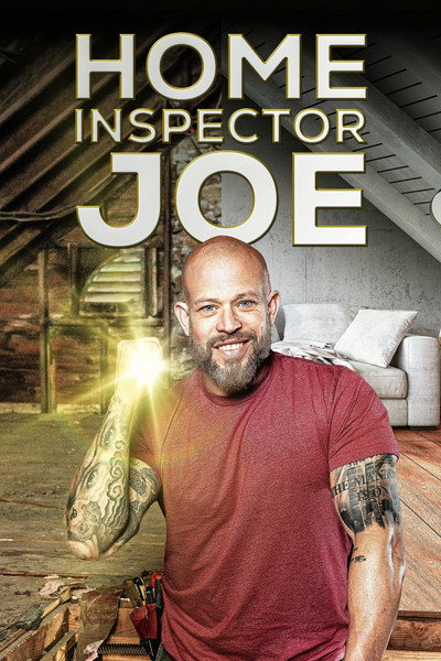 Póster de Home Inspector Joe