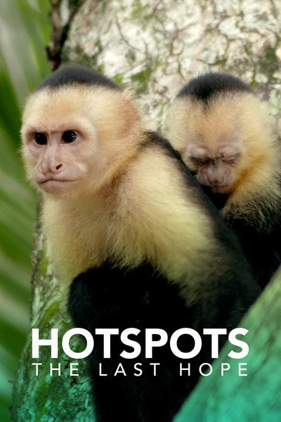 Póster de Hotspots: The Last Hope