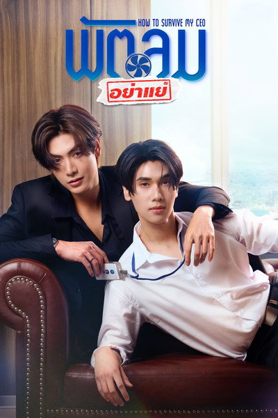 Póster de How to Survive My CEO