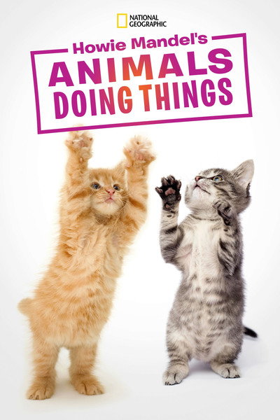 Póster de Howie Mandel's Animals Doing Things