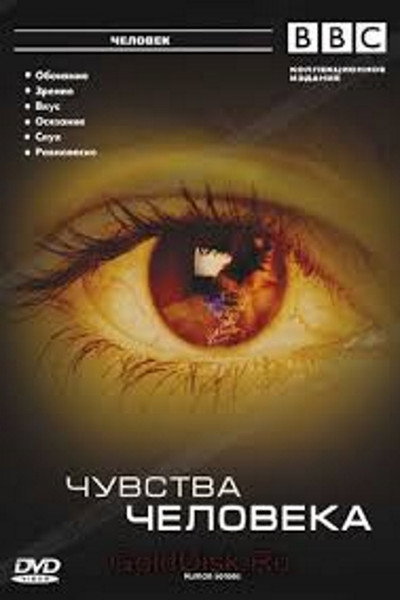 Póster de Human Senses