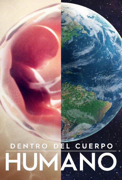 Póster de Human: The World Within