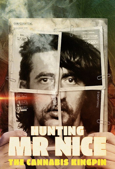 Póster de Hunting Mr Nice: The Cannabis Kingpin