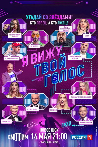 Póster de I see your voice
